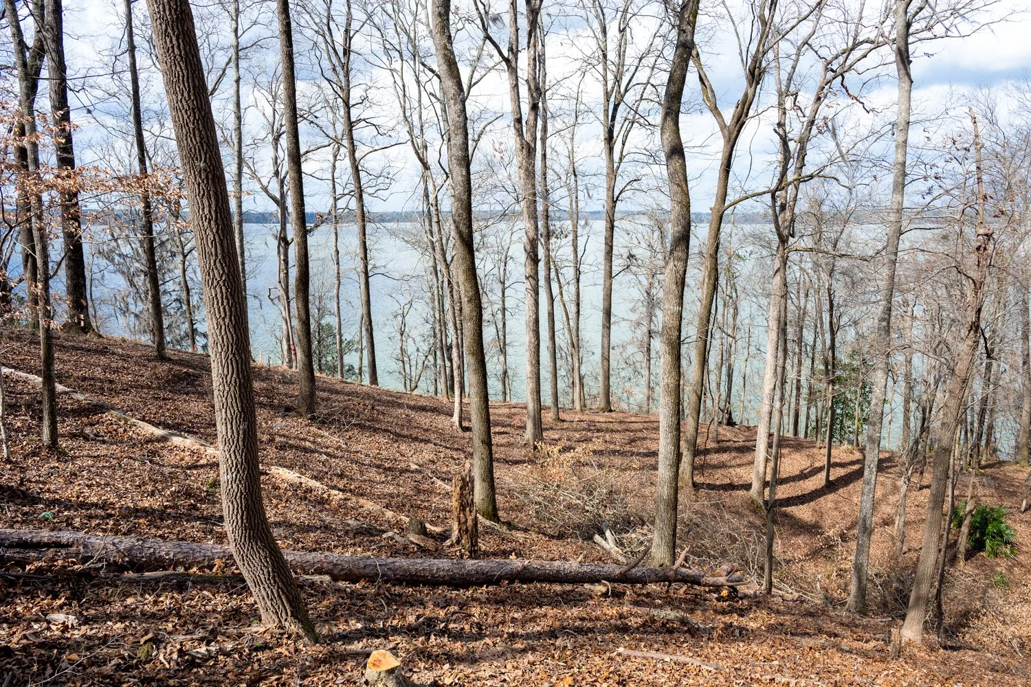 Outdoor Kitchen & Entertainment Area