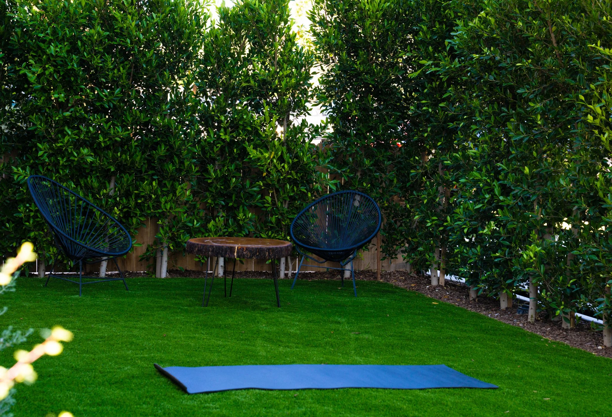DSC08725-2.jpg