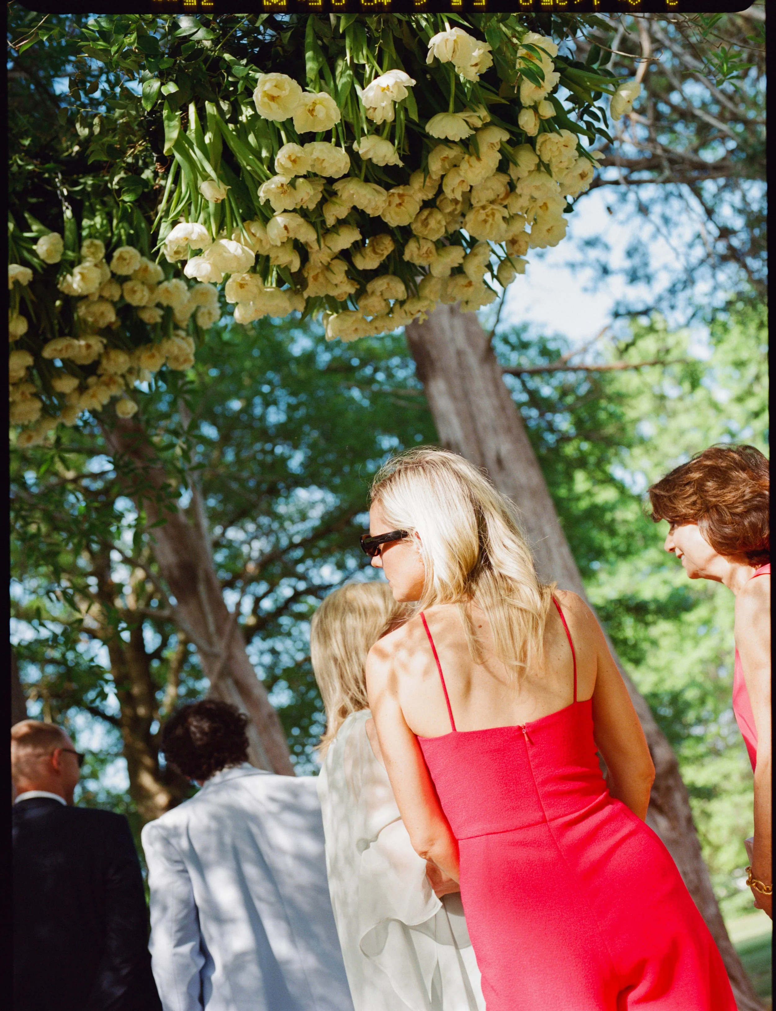 Sunny California wedding cocktail hour outside San Francisco, California 