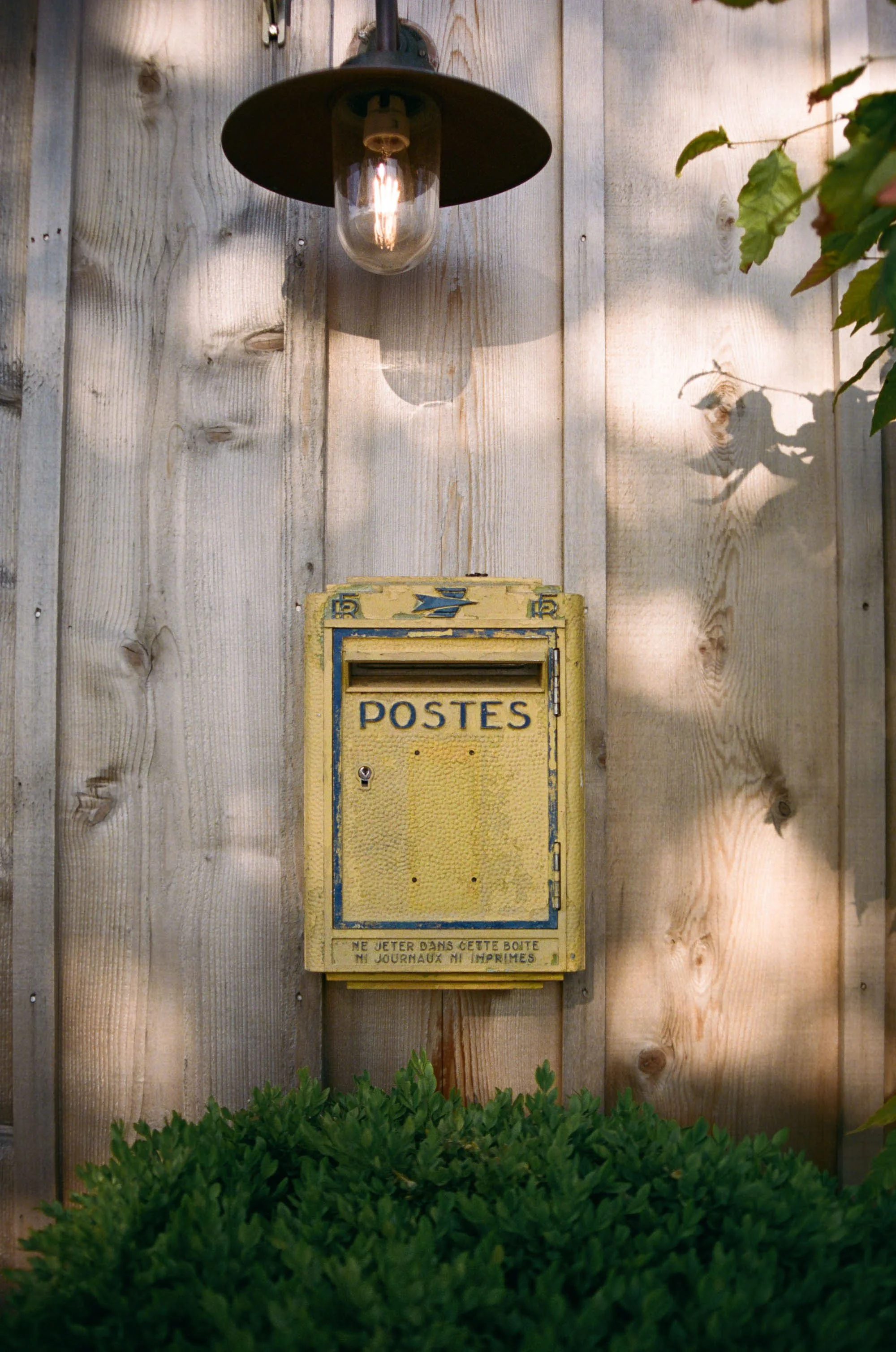 Lindsey Whatley Photo New York5.jpeg