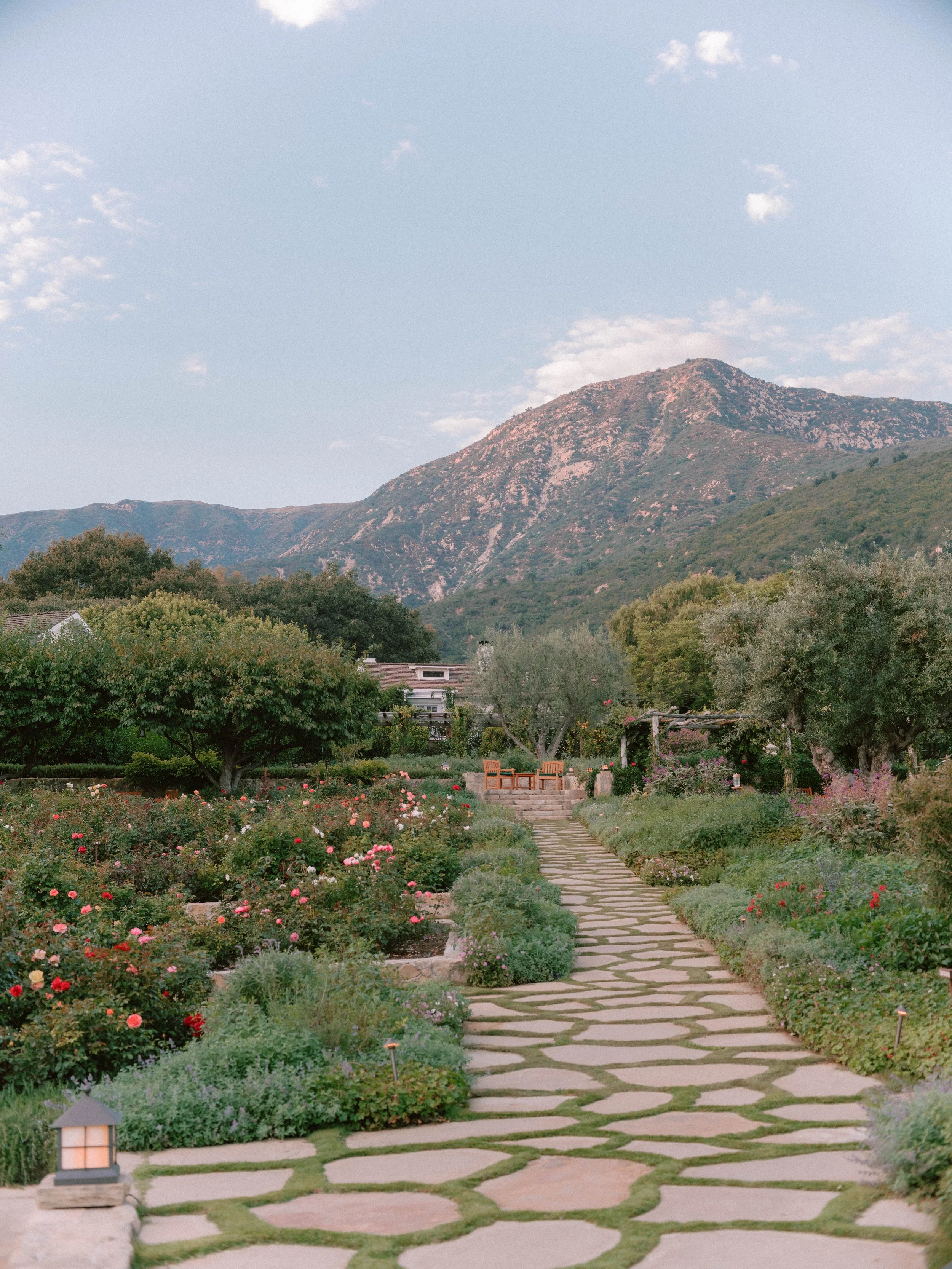 Rose Garden Hues