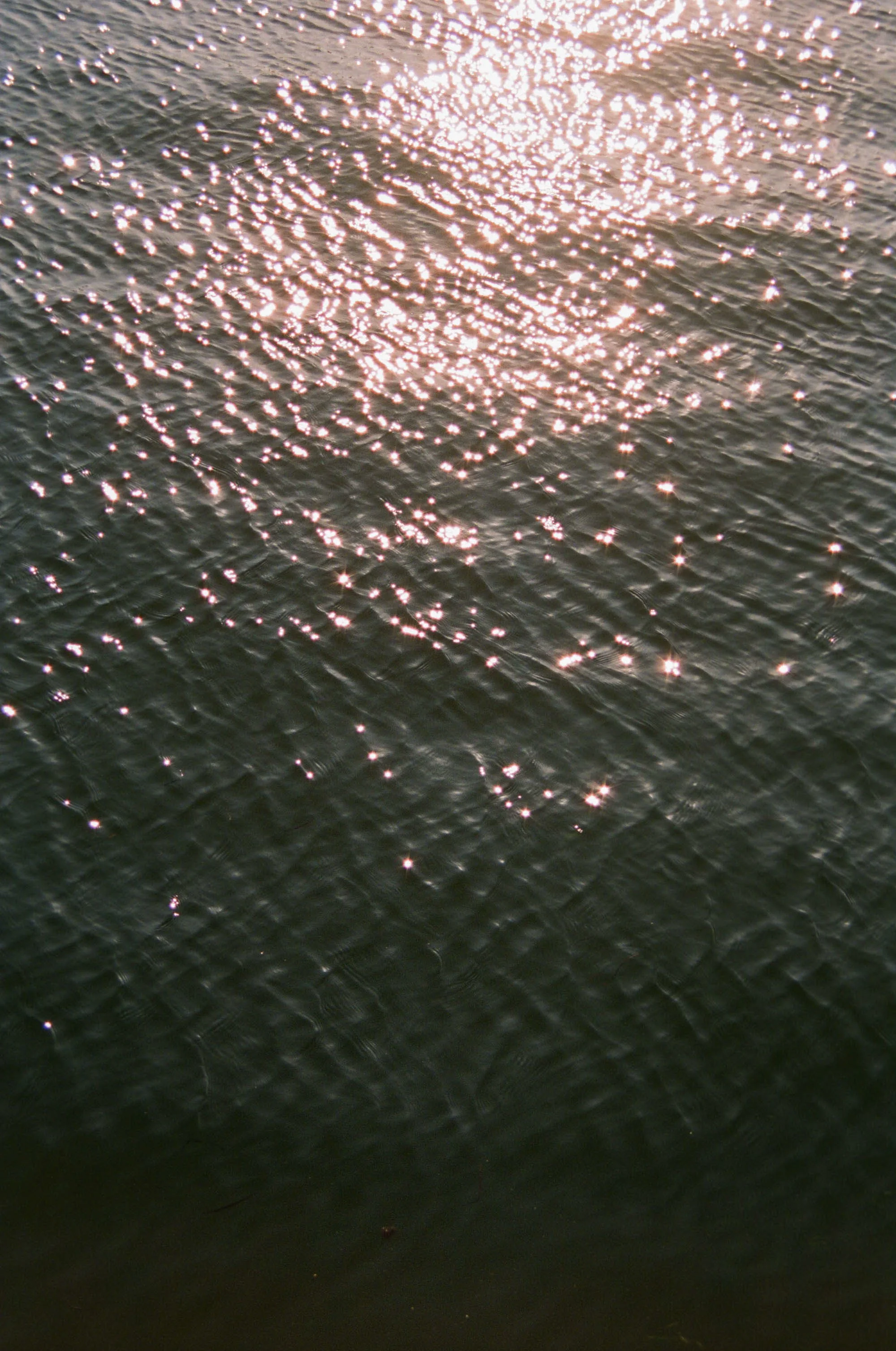 Lindsey Whatley Photo New York6.jpeg