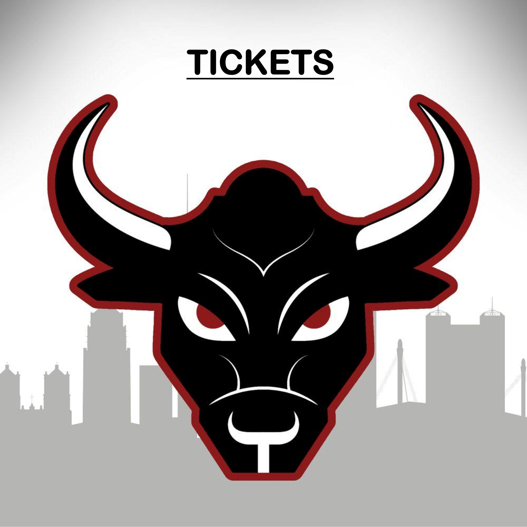 Toros Tickets.png