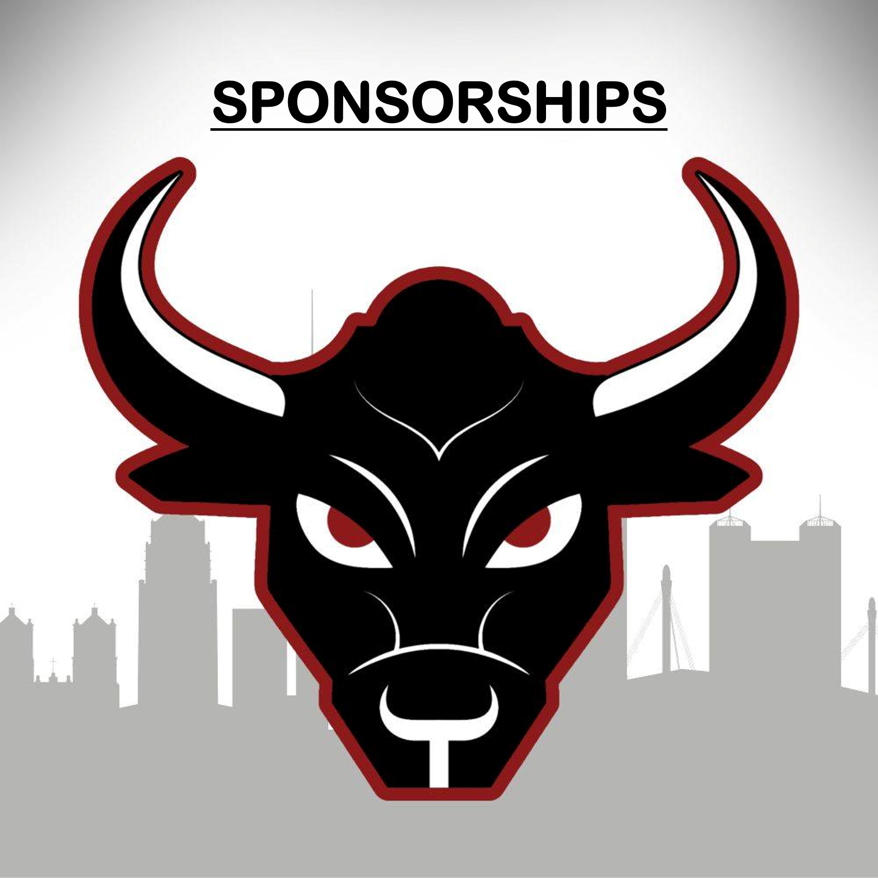 Toros Sponsorships.png