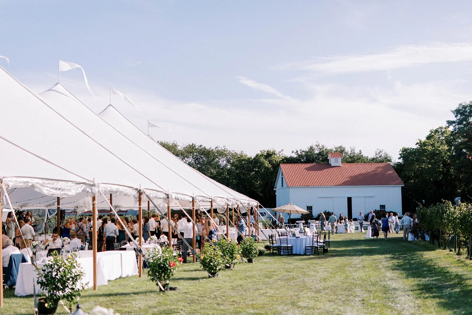 An outdoor wedding reception with a large white tent, tables with white tablecloths, and guests mingling on a grassy field near a white barn with a red roof, under a clear sky.