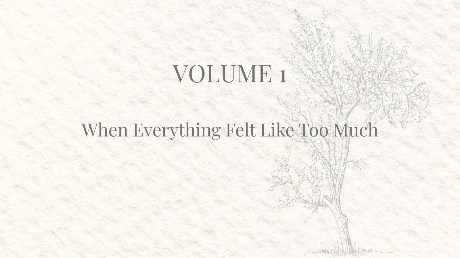 Raw, honest letters about anxiety, mom guilt, emotional overload, mental load, anger, burnout, and the invisible pressure of motherhood. For women who are functioning on the outside but quietly overwhelmed inside.