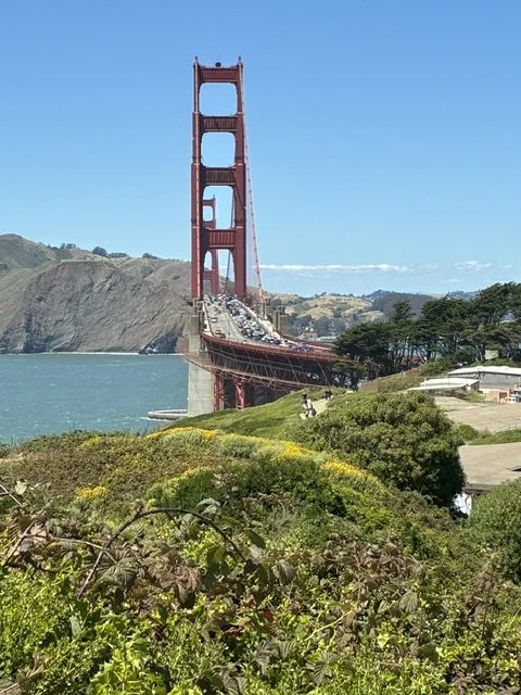 IMG_3547.jpeg