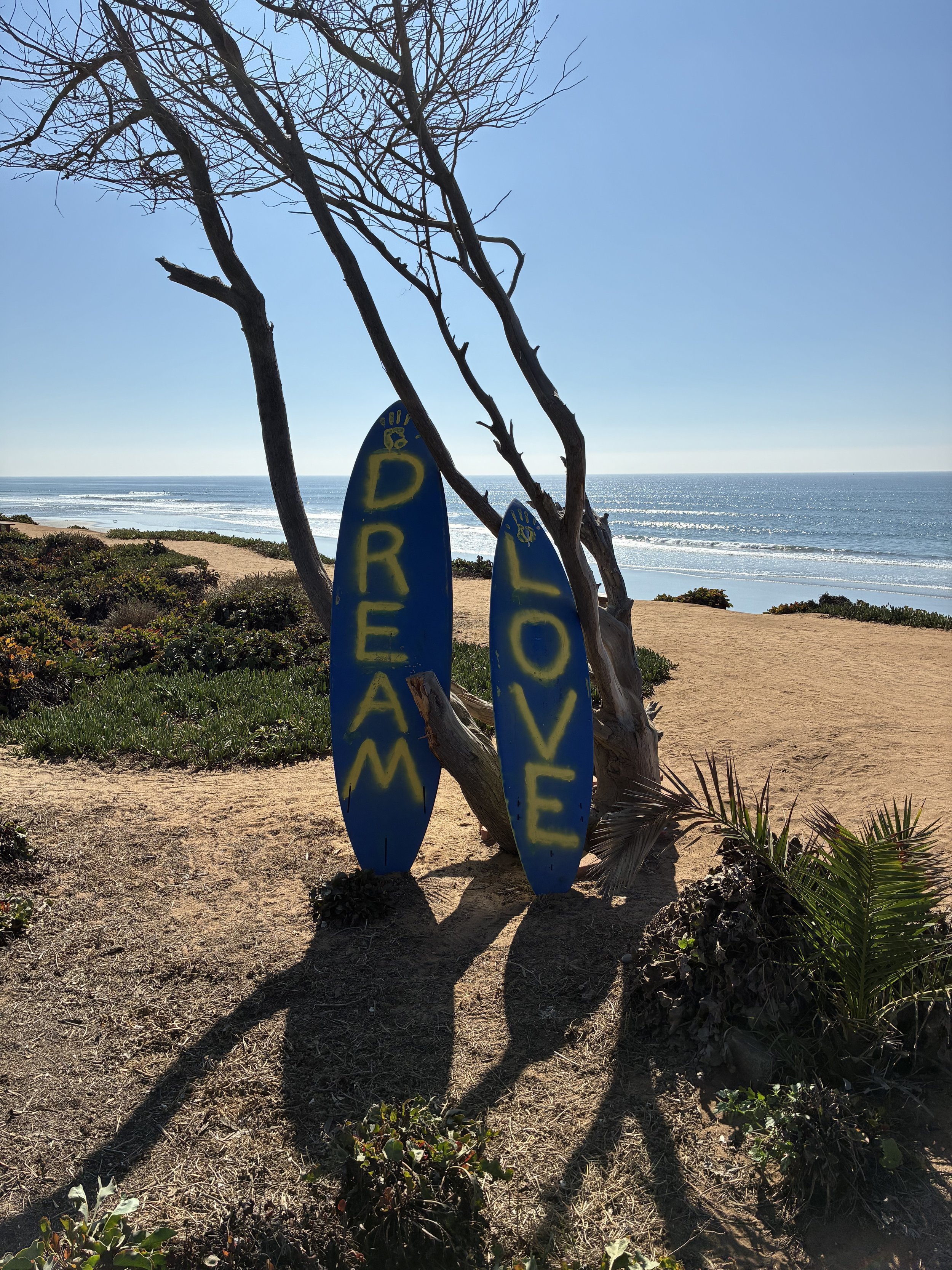 Two blue surfboards with the words 'DREAM' and 'LOVE' written on them in yellow are leaning against a leafless tree on a sandy beach with the ocean in the background.
