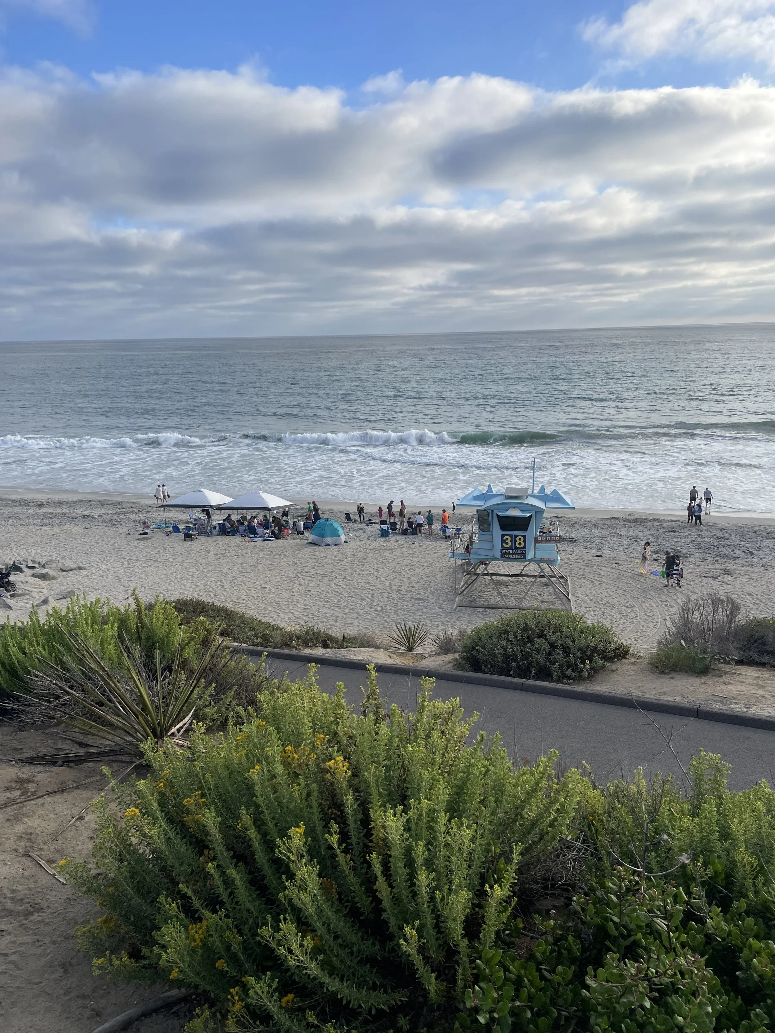 People enjoying the beach near shoreline with umbrellas, a lifeguard tower, and various greenery in the foreground.