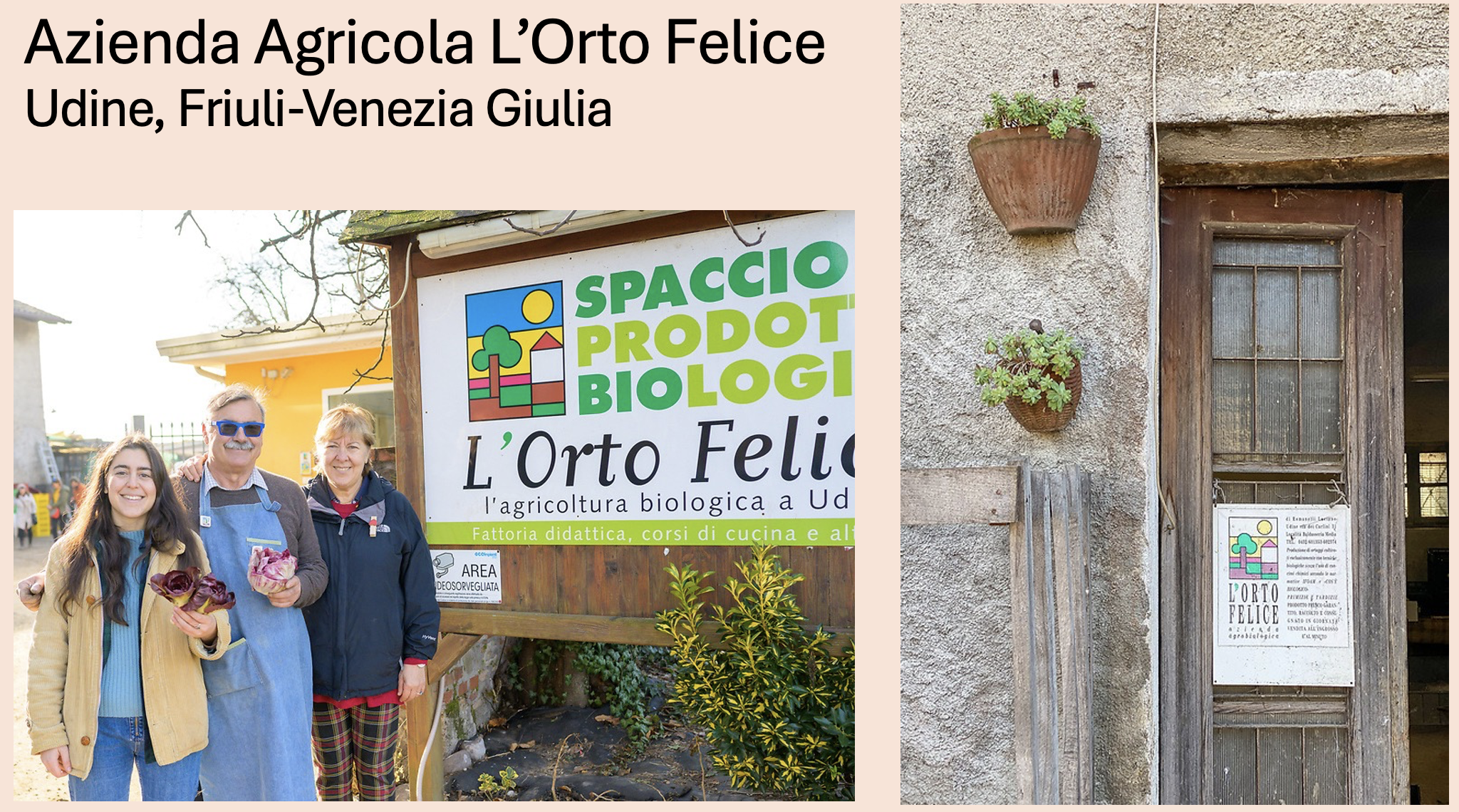 Screenshot 2026-03-12 at 8.48.26 PM.png