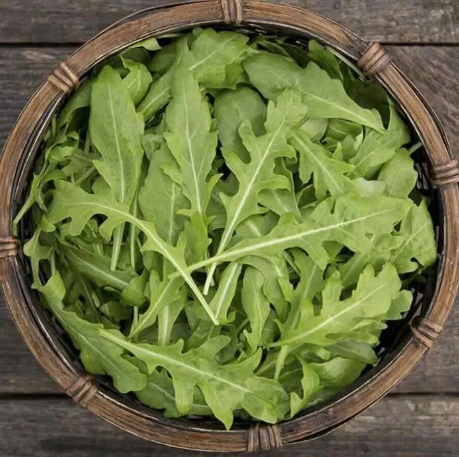 A WAY TO GARDEN: seed shopping: italian specialties, and new catalogs to try, with Lane Selman