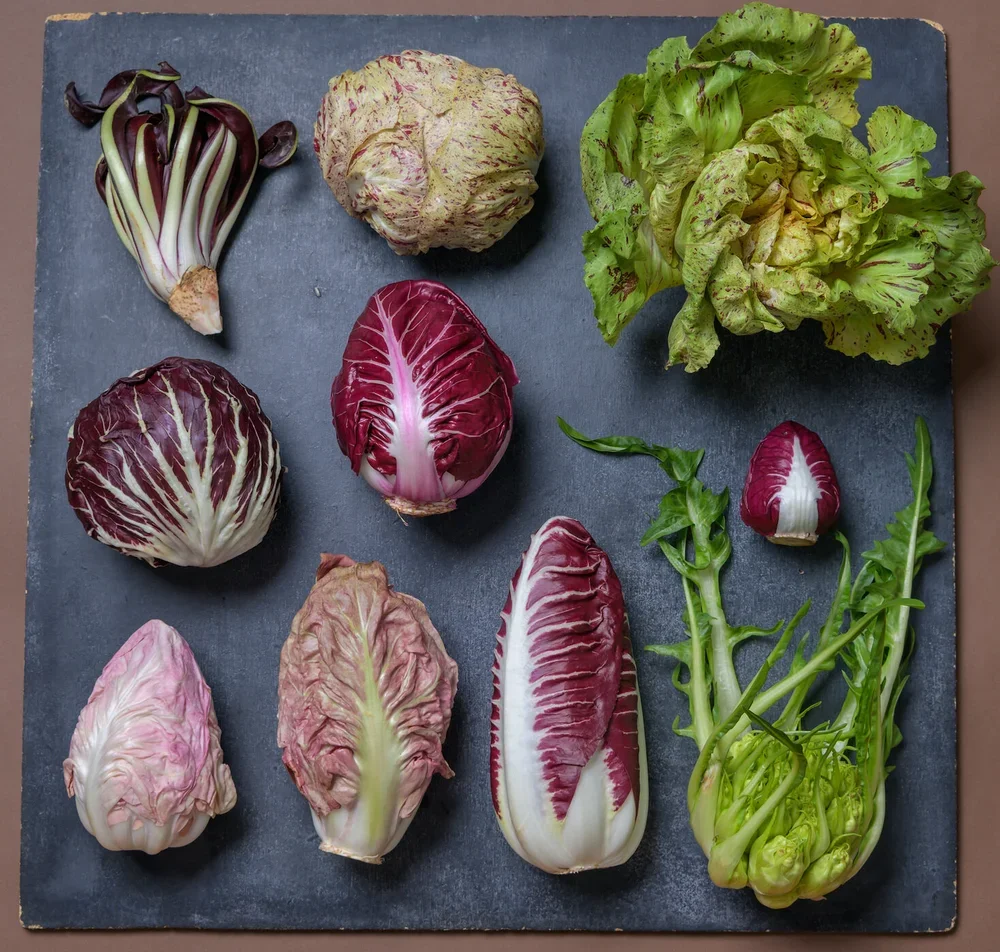 THE NEW YORK TIMES: If You've Never Tried Growing Radicchio, Now is the Time