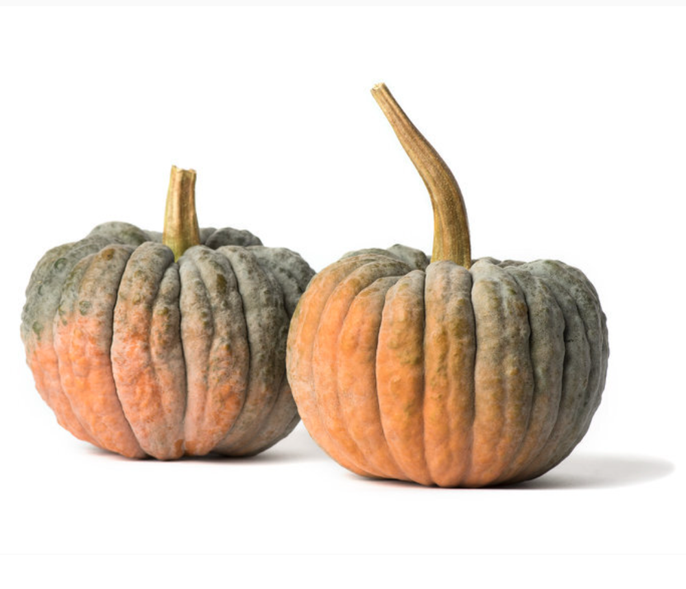 KBOO FOOD SHOW: Squash Trials &amp; Farming is Medicine