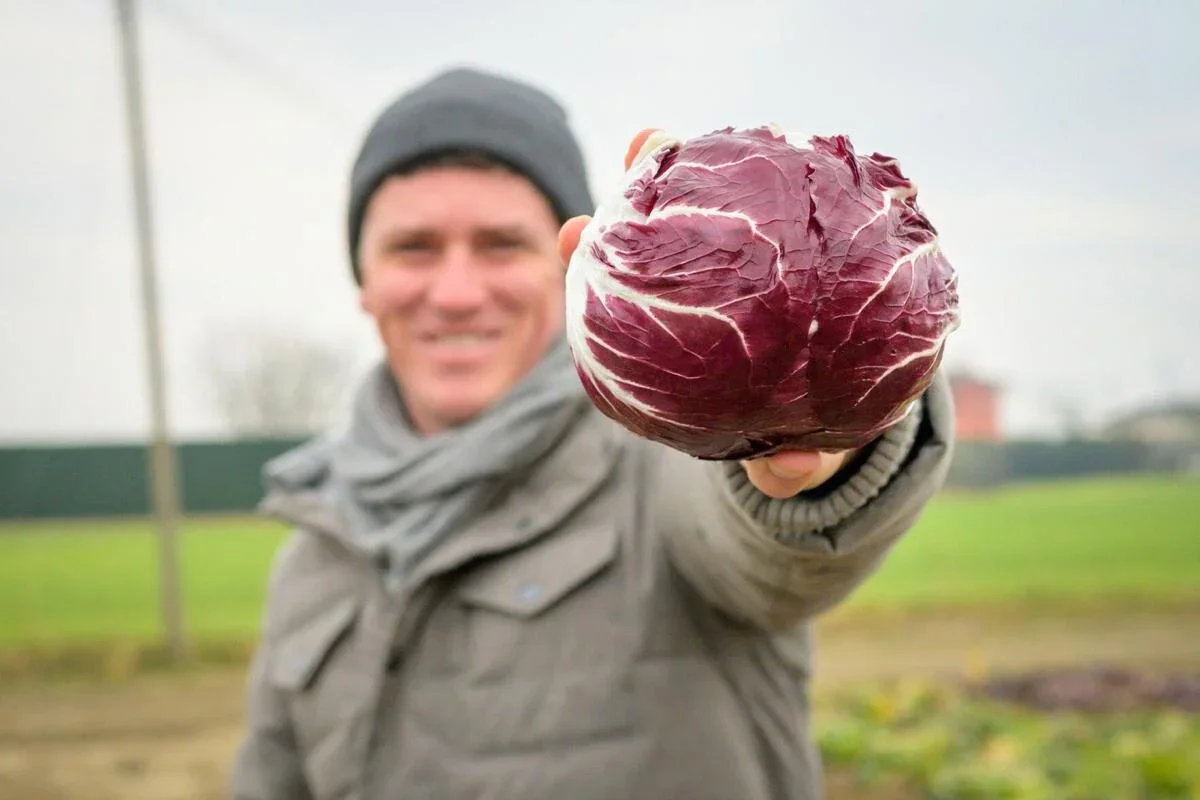 CAPITAL PRESS: Raising Radicchio