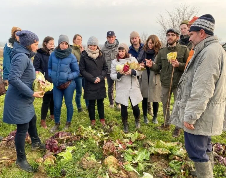 SALON: Eat Seasonally this Winter with Radicchio