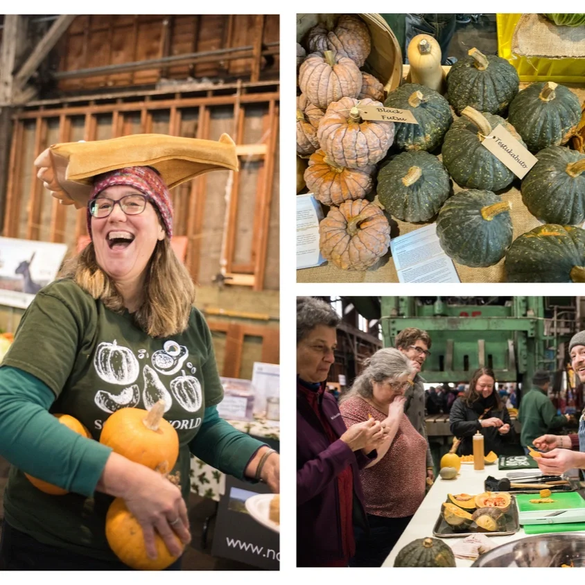 MEDIUM: How Italian Sagre Inspired the Culinary Breeding Network's Joyful Celebrations of Local Vegetables