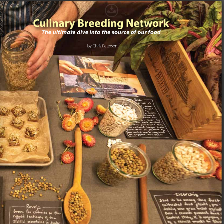 TAKE ROOT: Culinary Breeding Network. The Ultimate Dive into the Source of our Food