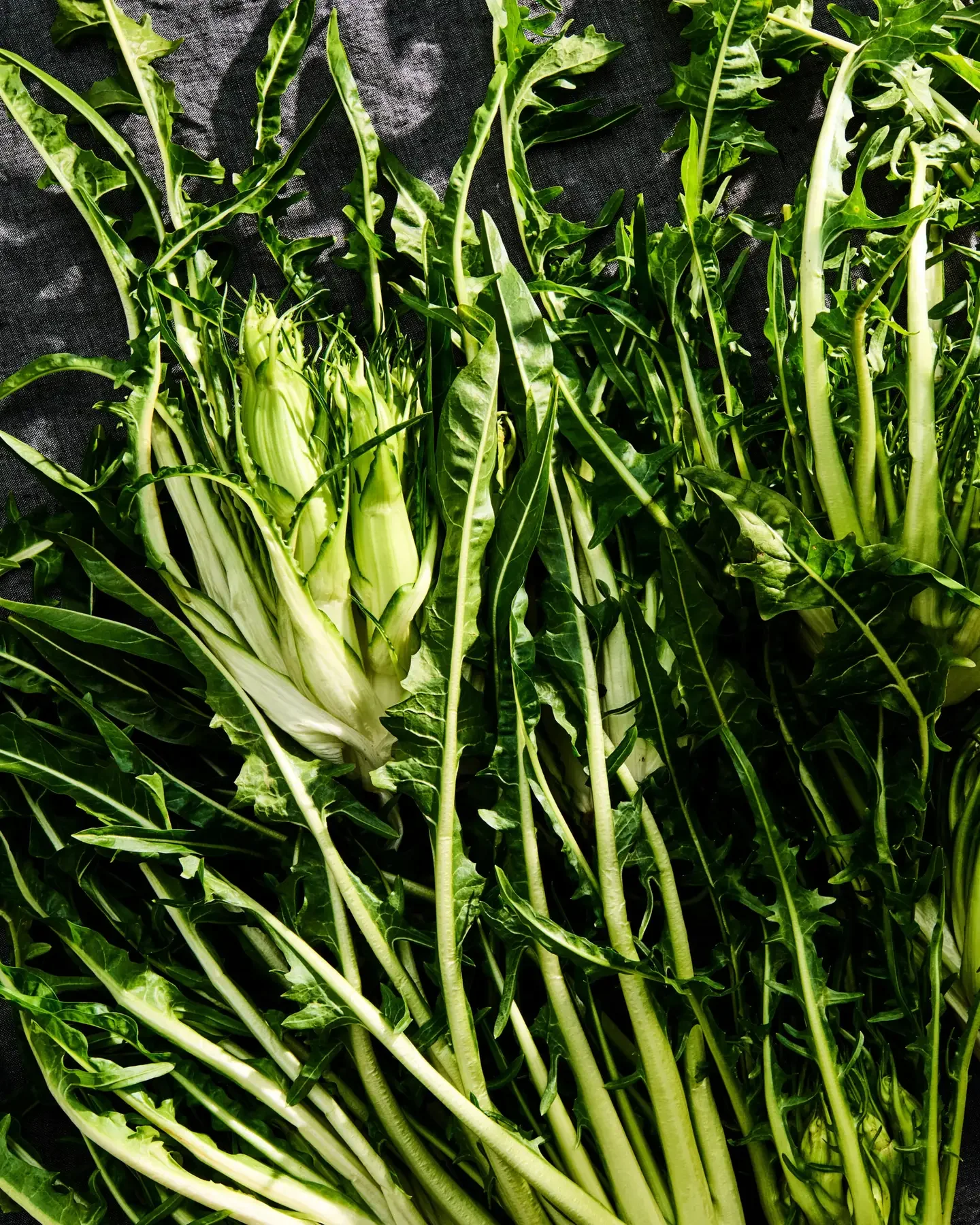 SAVEUR: How to Cook With Puntarelle, the Bitter Green Romans Can’t Live Without