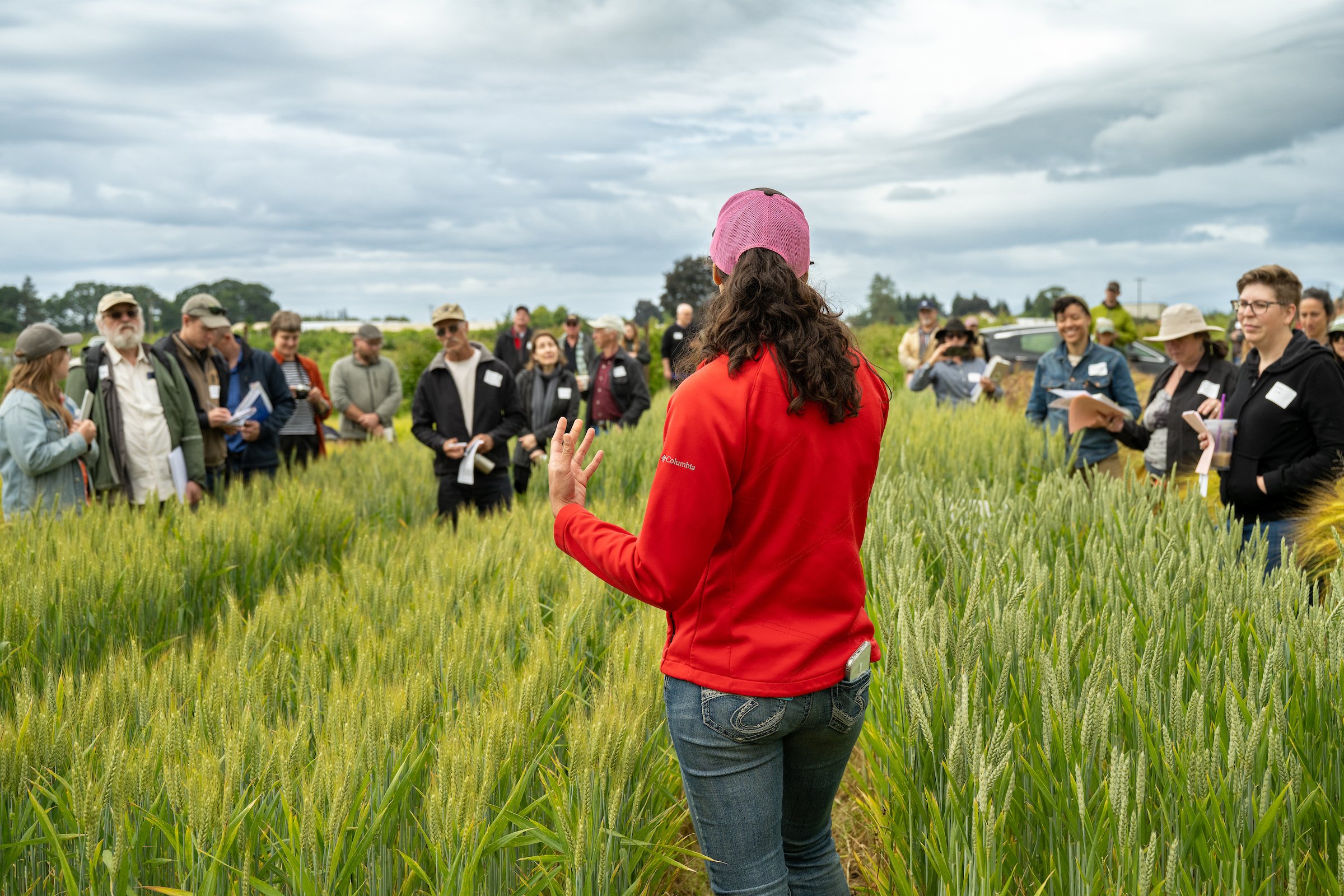 OSU Organic Agriculture Field Day