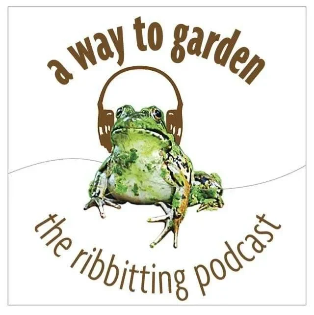 A WAY TO GARDEN: really getting to know radicchio, with lane selman 