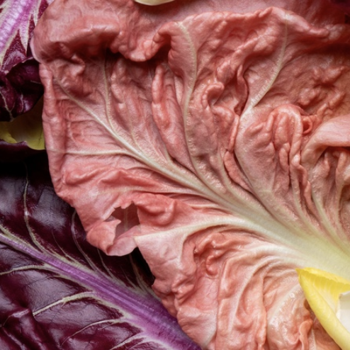 EAT THIS PODCAST: Radicchio Spreads Its Wings
