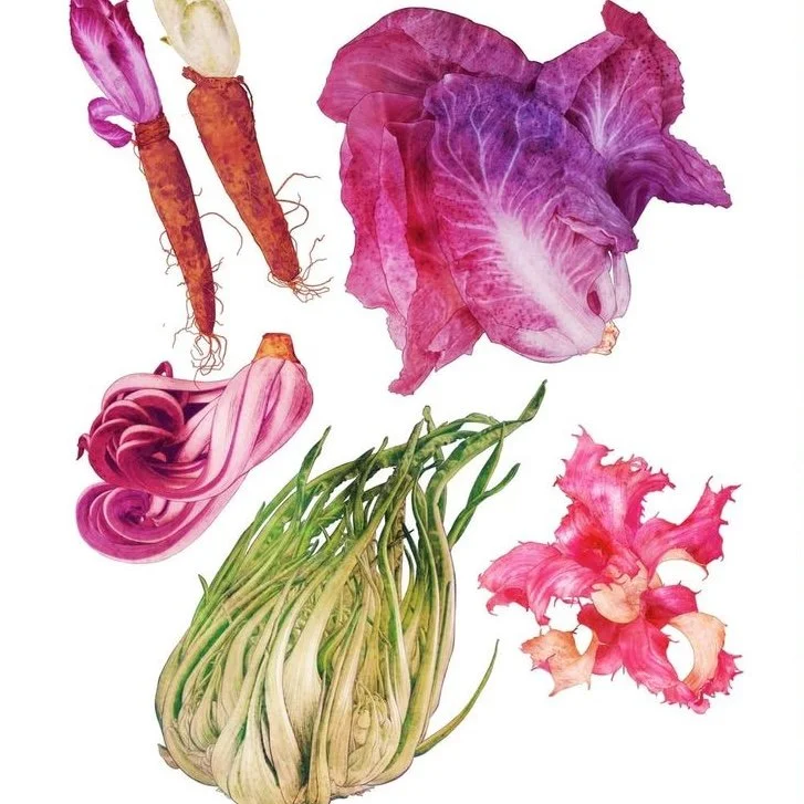 WORDLOAF: Vegetable diversity