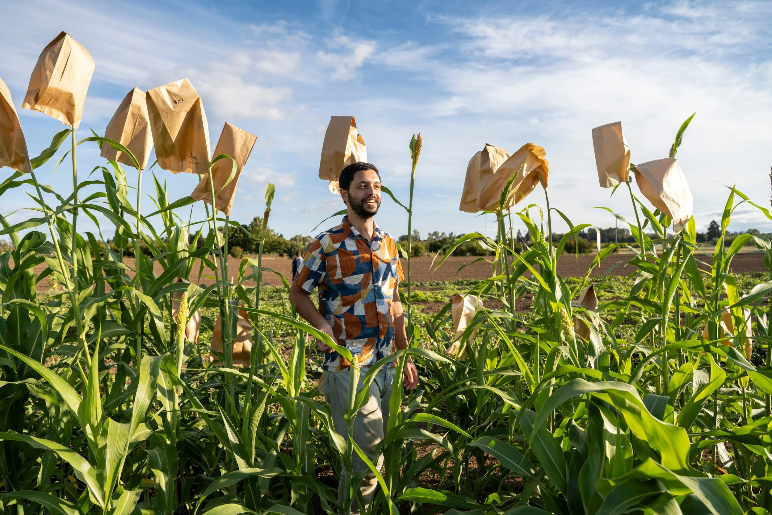 CulinaryBreedingNetwork_2024_Dry_Farming_Field_Day_1028.jpg