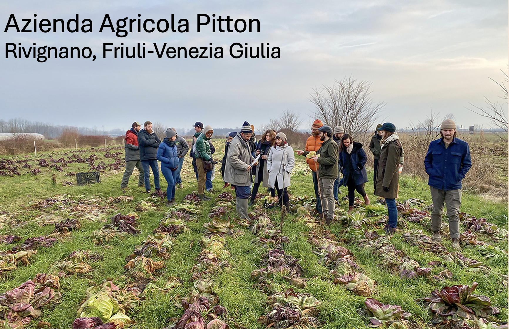 Screenshot 2026-03-12 at 8.48.04 PM.png