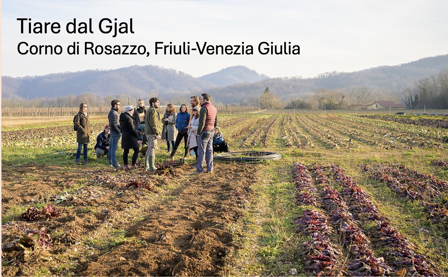 Screenshot 2026-03-12 at 8.48.49 PM.png