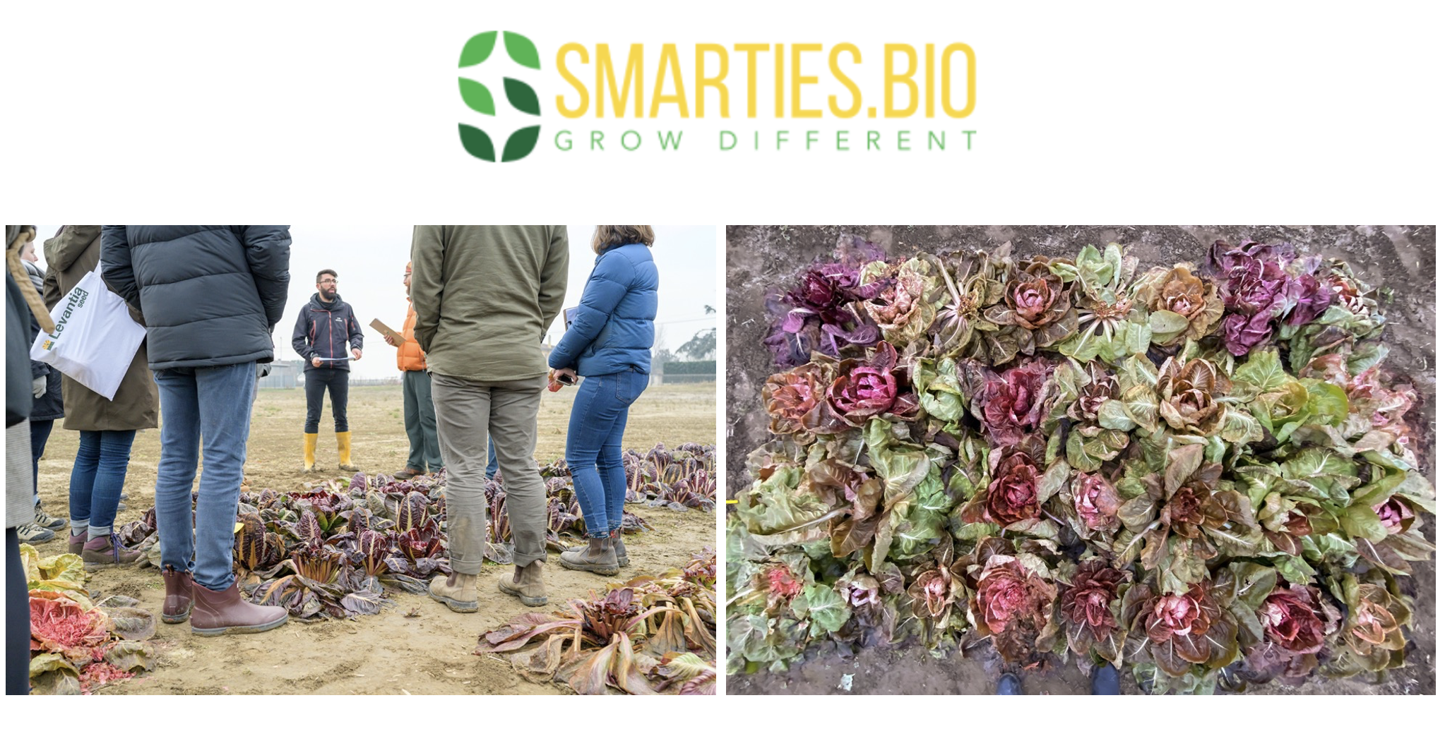 Screenshot 2026-03-12 at 8.46.52 PM.png