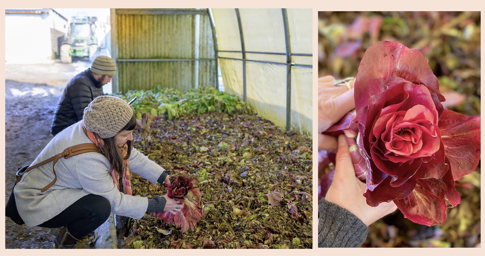 Screenshot 2026-03-12 at 8.47.43 PM.png