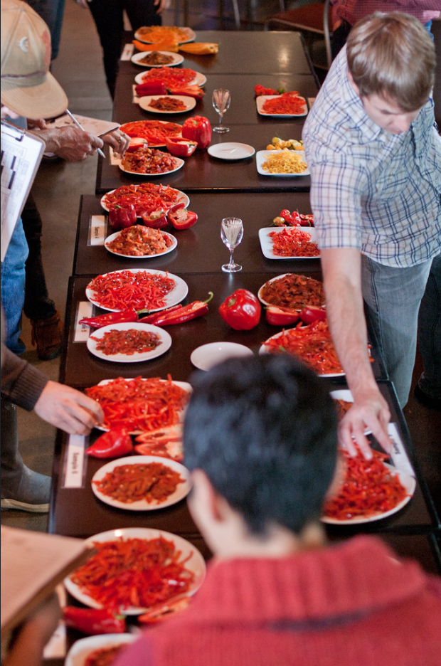 CulinaryBreedingNetwork_Pepper Tasting.png