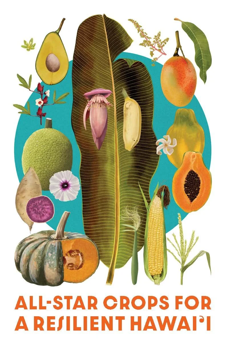 Variety Showcase - Hawaii Zine