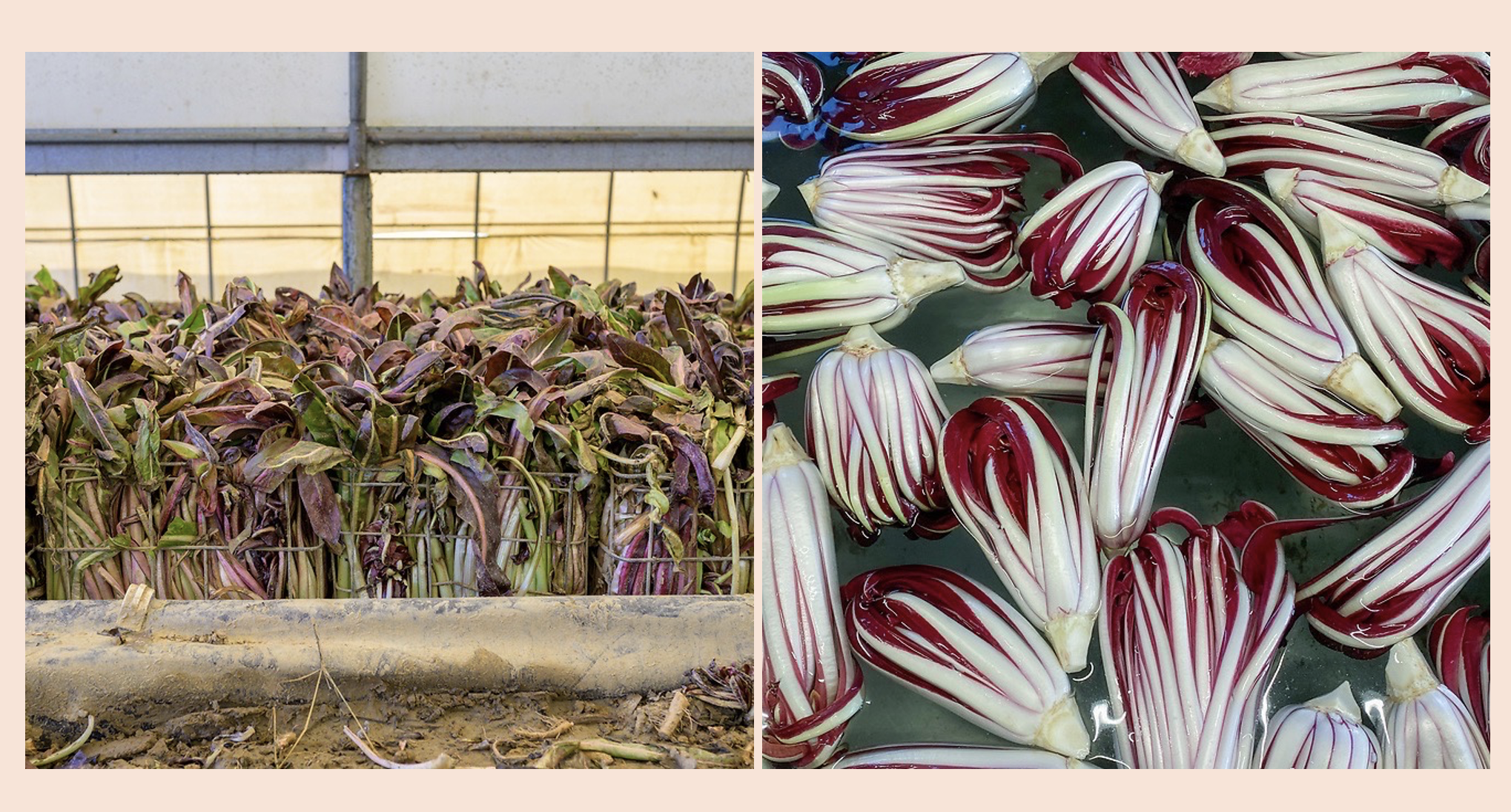 Screenshot 2026-03-12 at 8.47.35 PM.png