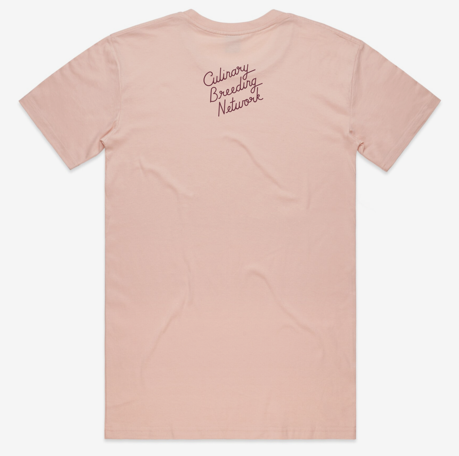 BiB Shirt_Pink_Back.png