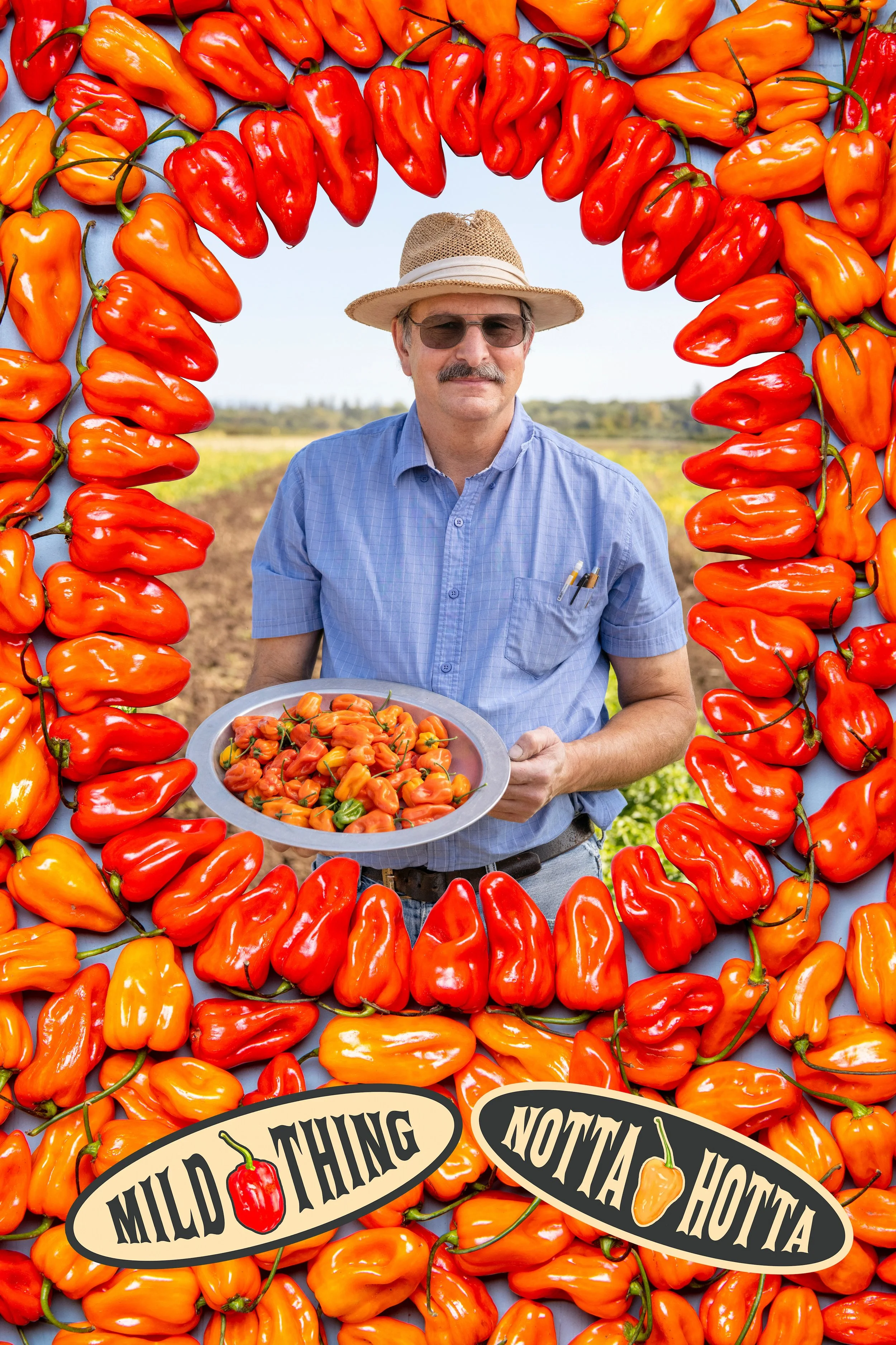 CulinaryBreedingNetwork_2020_Jim_Myers_mild_habanero_114-4.jpg