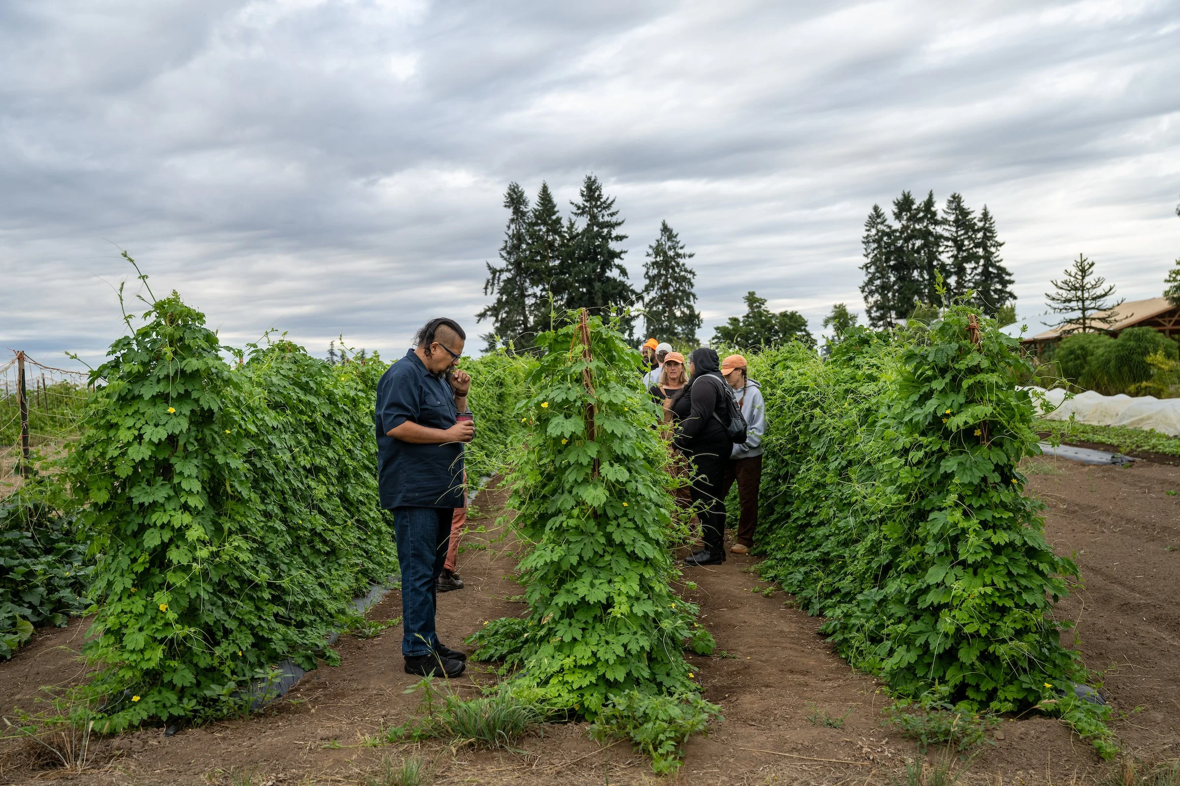 CulinaryBreedingNetwork_2025_Bitter_Gourd_Club_0003 (1).jpg