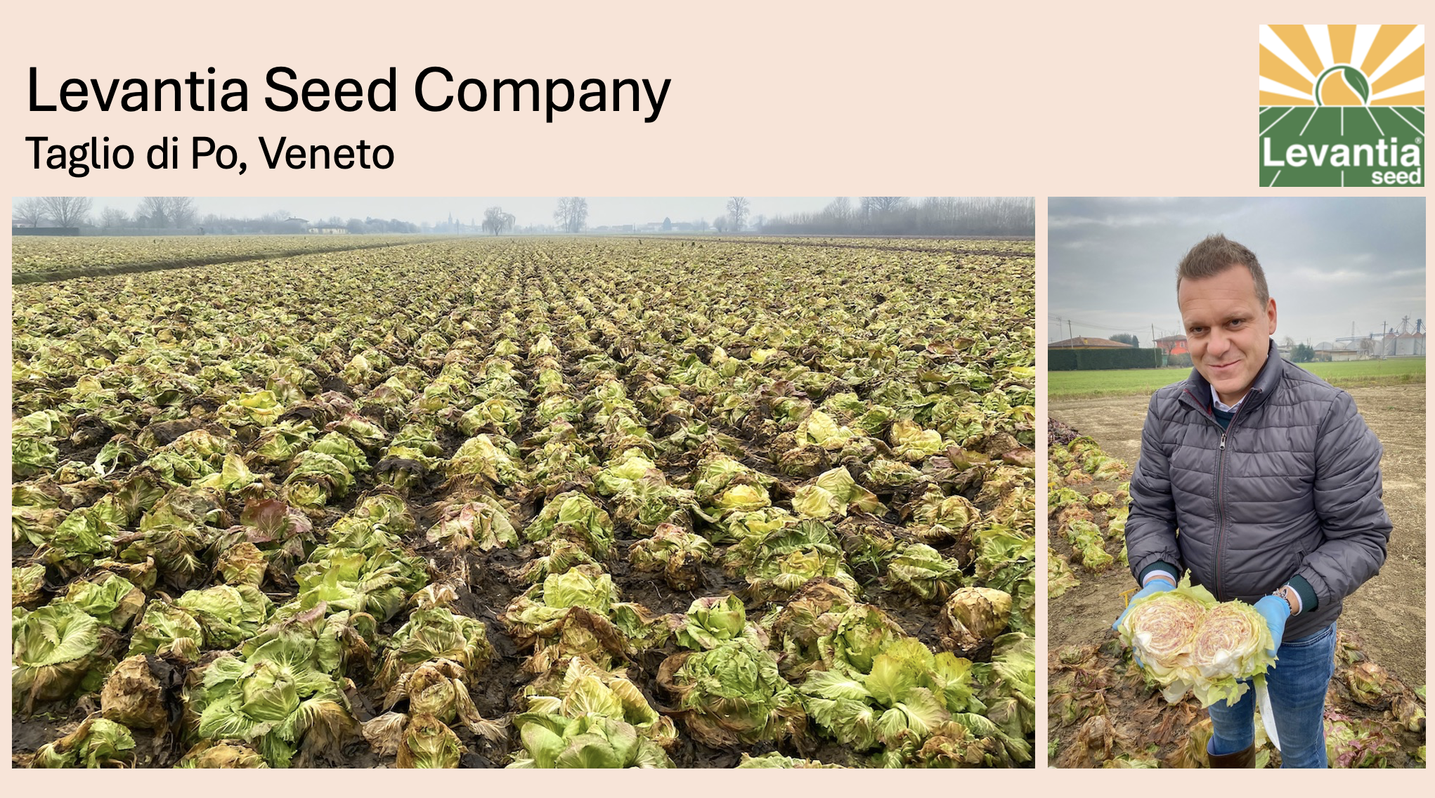 Screenshot 2026-03-12 at 8.46.31 PM.png