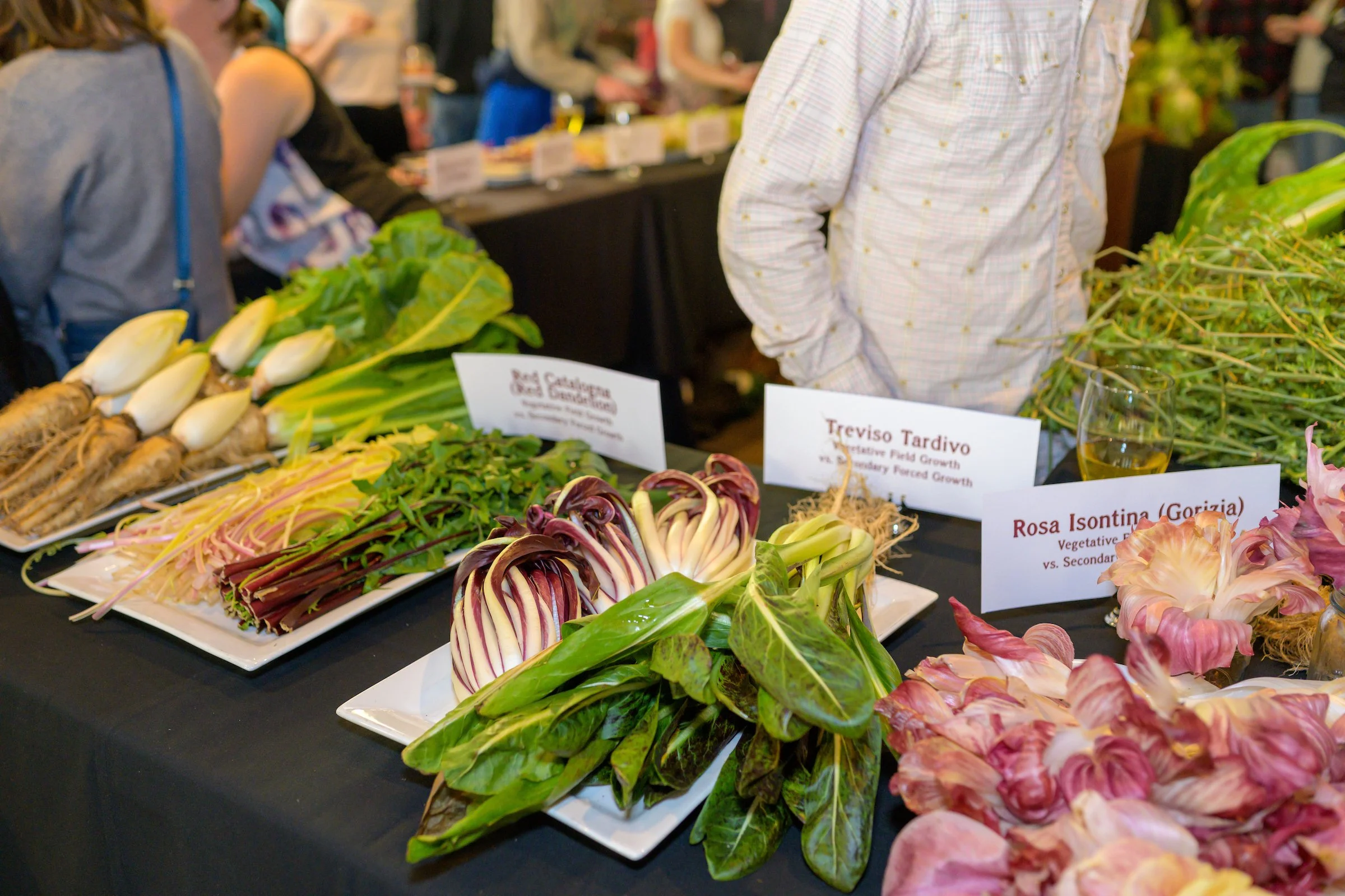 CulinaryBreedingNetwork_2019_Sagra_di_Radicchio_0088.jpg