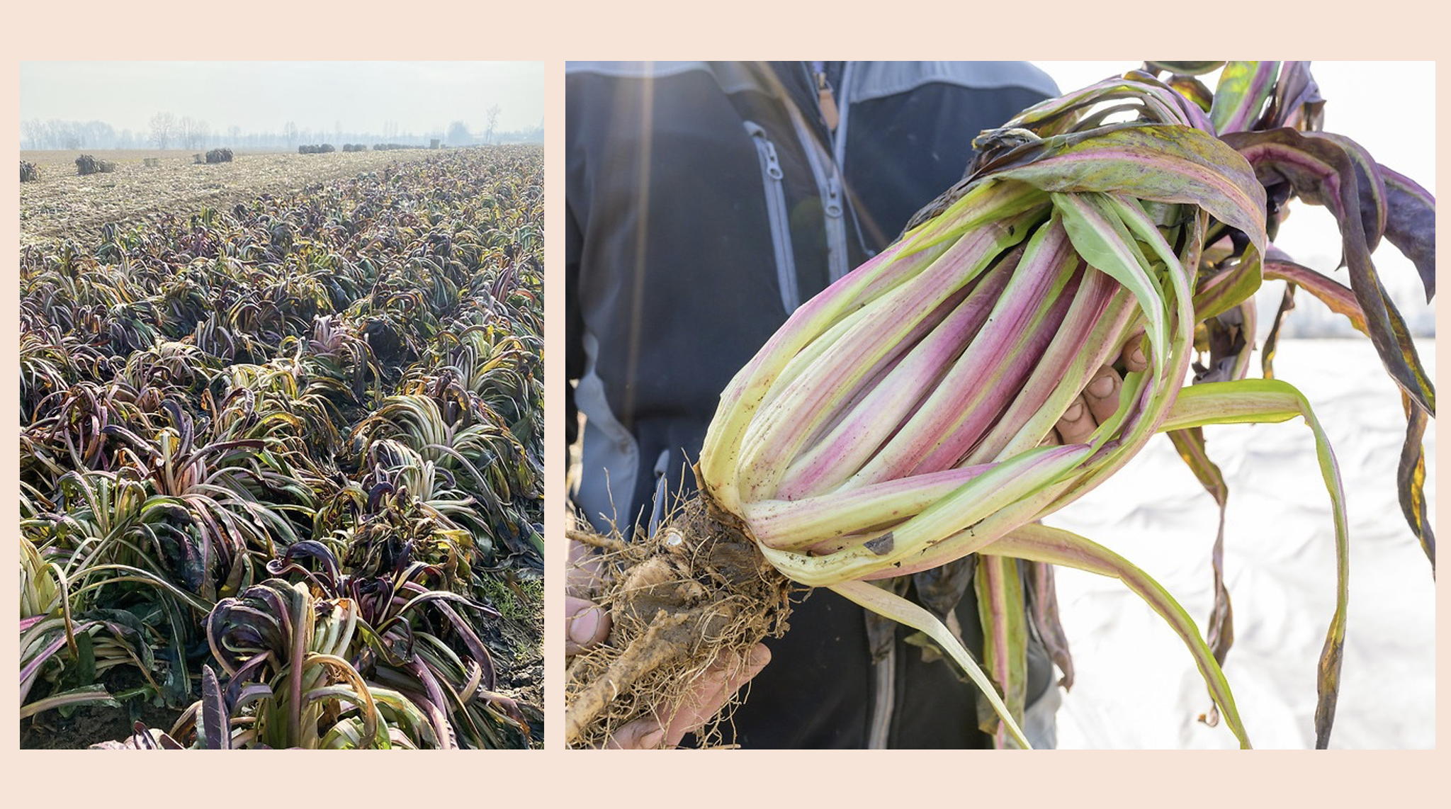 Screenshot 2026-03-12 at 8.47.16 PM.png