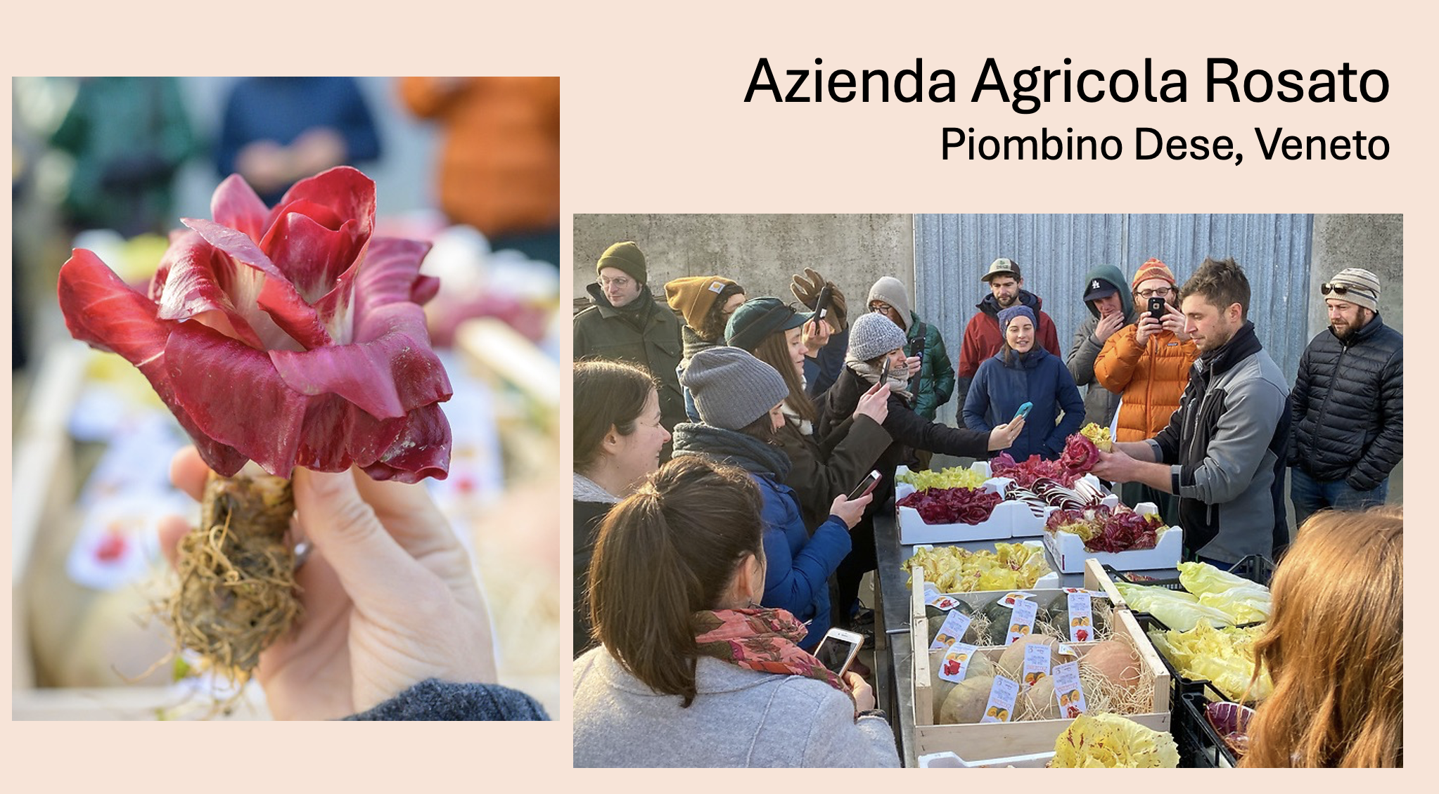 Screenshot 2026-03-12 at 8.47.06 PM.png