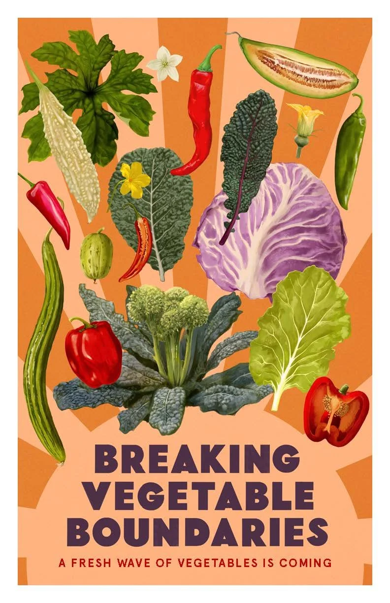 Breaking Vegetable Boundaries Zine