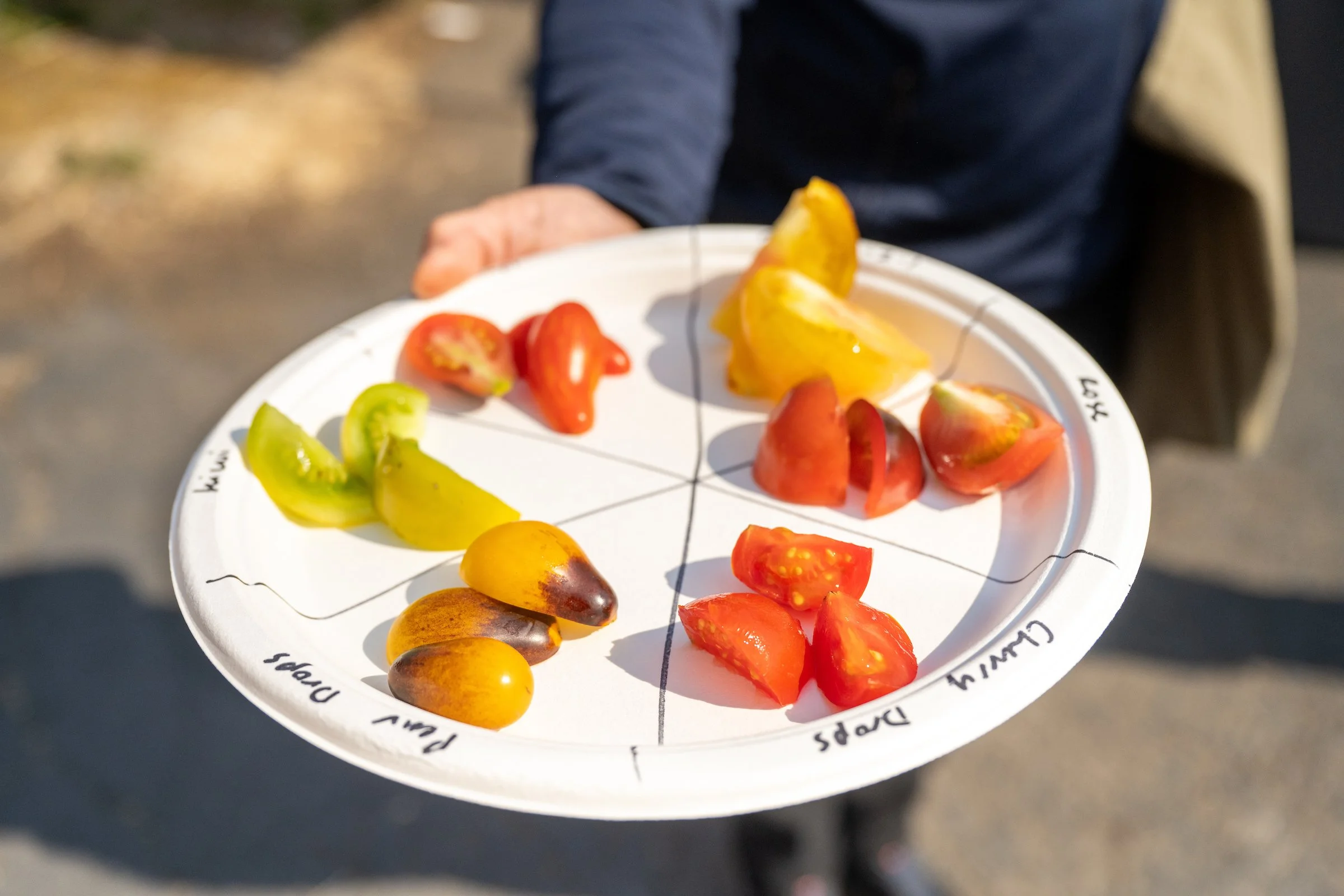 CulinaryBreedingNetwork_2023_CBN_Tomato_Fest_0053 (1).jpg