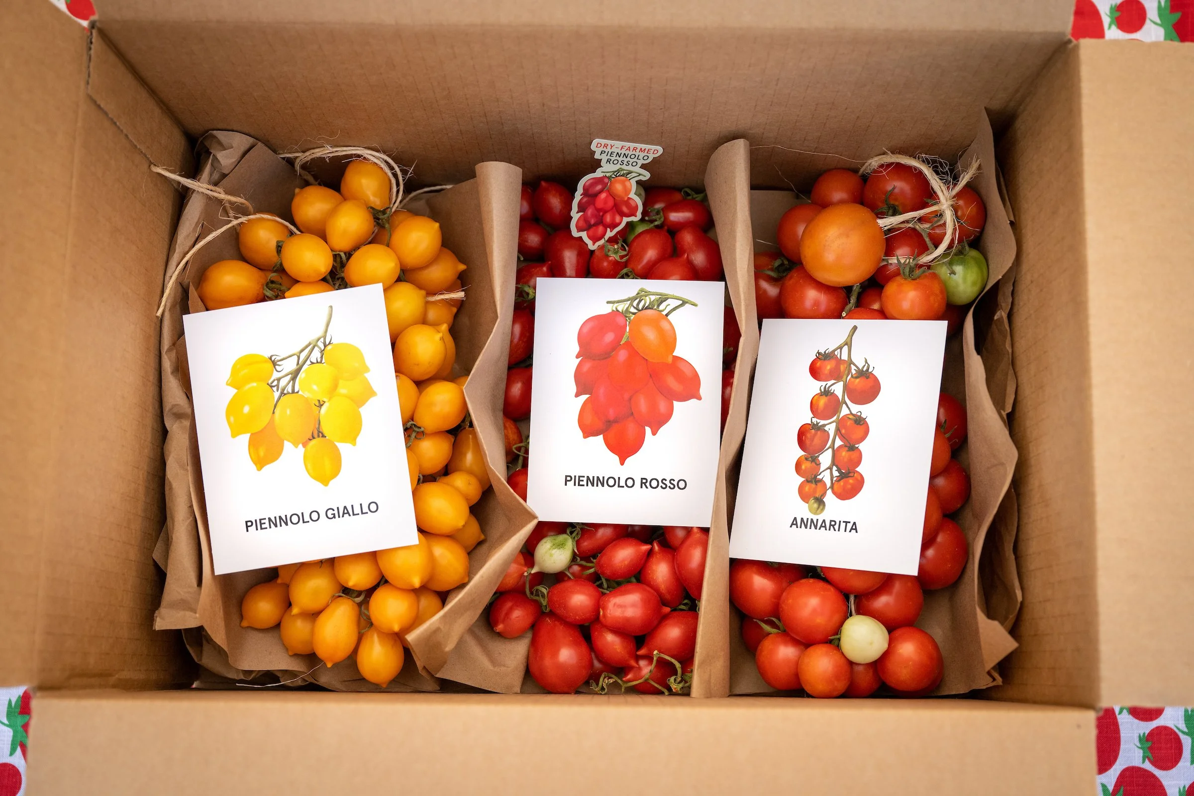 2023_CBN_Tomato_Fest_0002 (2).jpg