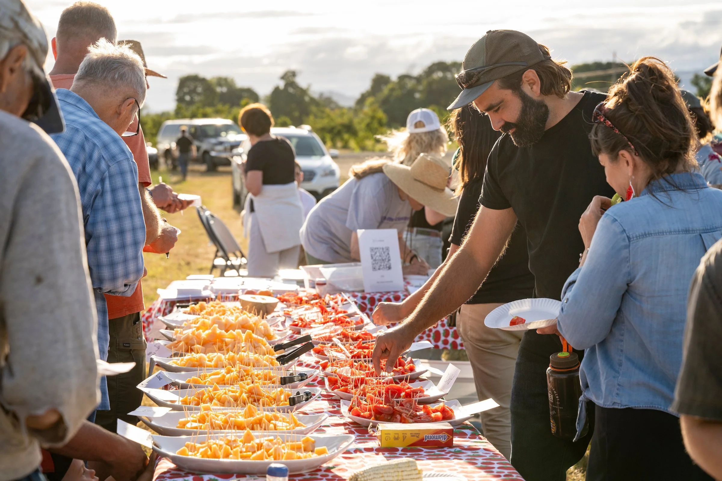CulinaryBreedingNetwork_2024_Dry_Farming_Field_Day_1061.jpg