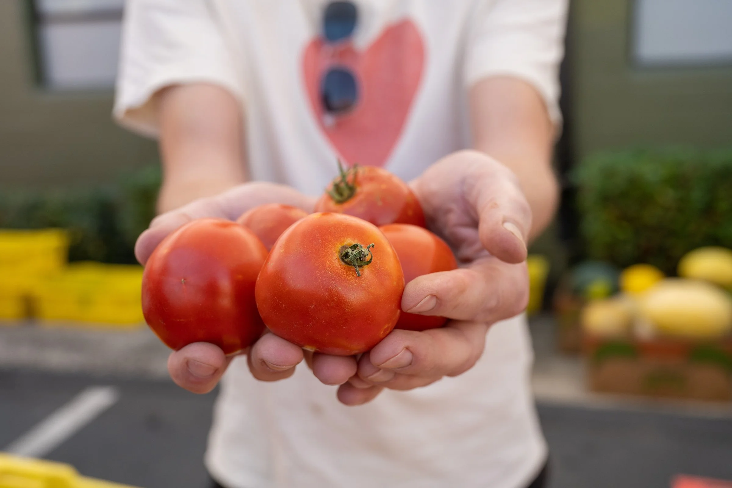 2023_CBN_Tomato_Fest_0055 (1).jpg