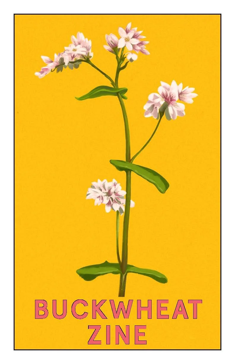 Culinary Breeding Network Buckwheat Zine