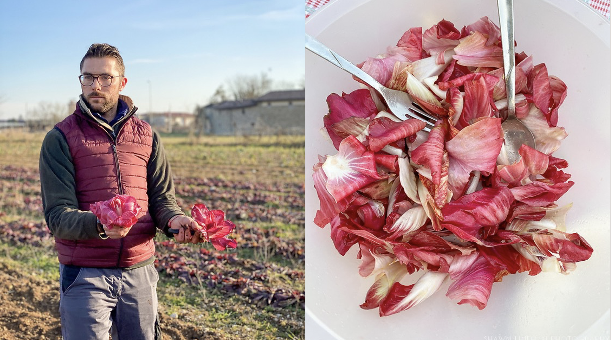 Screenshot 2026-03-12 at 8.49.07 PM.png