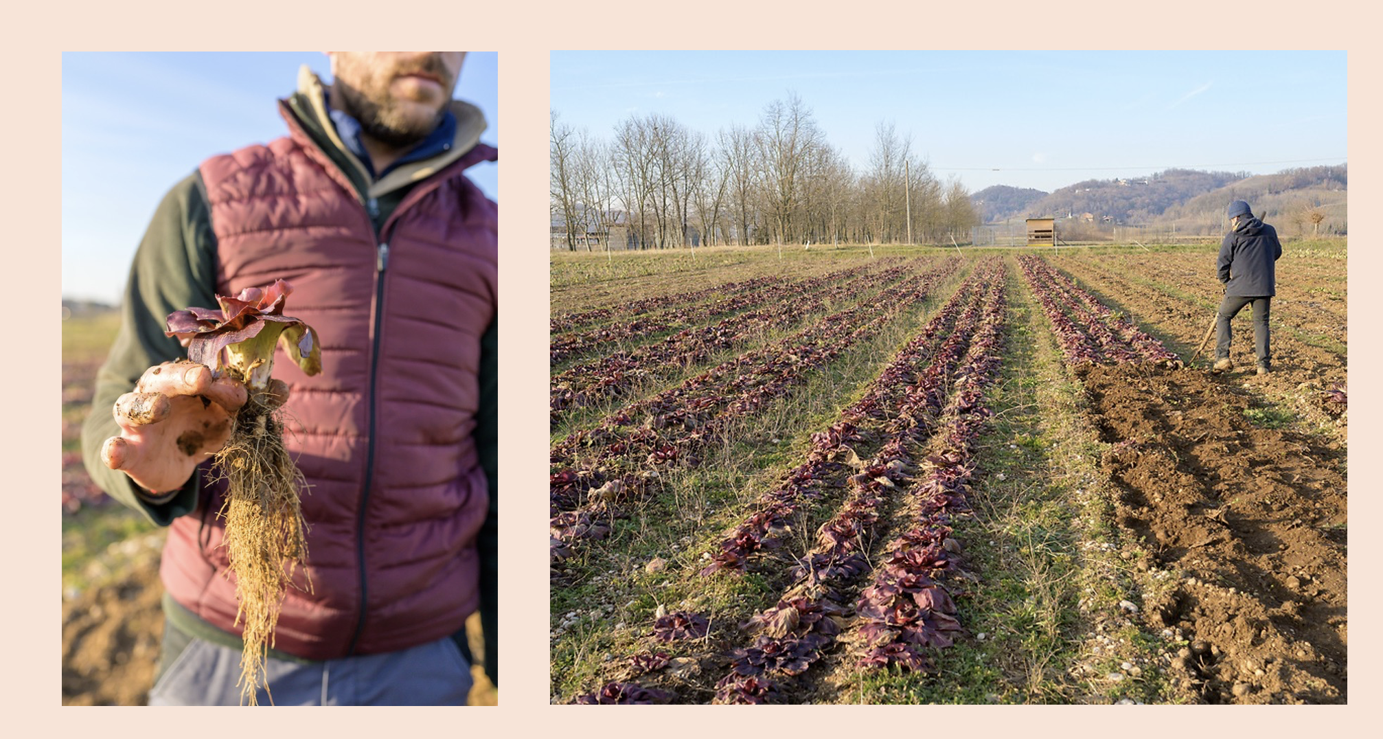 Screenshot 2026-03-12 at 8.48.56 PM.png