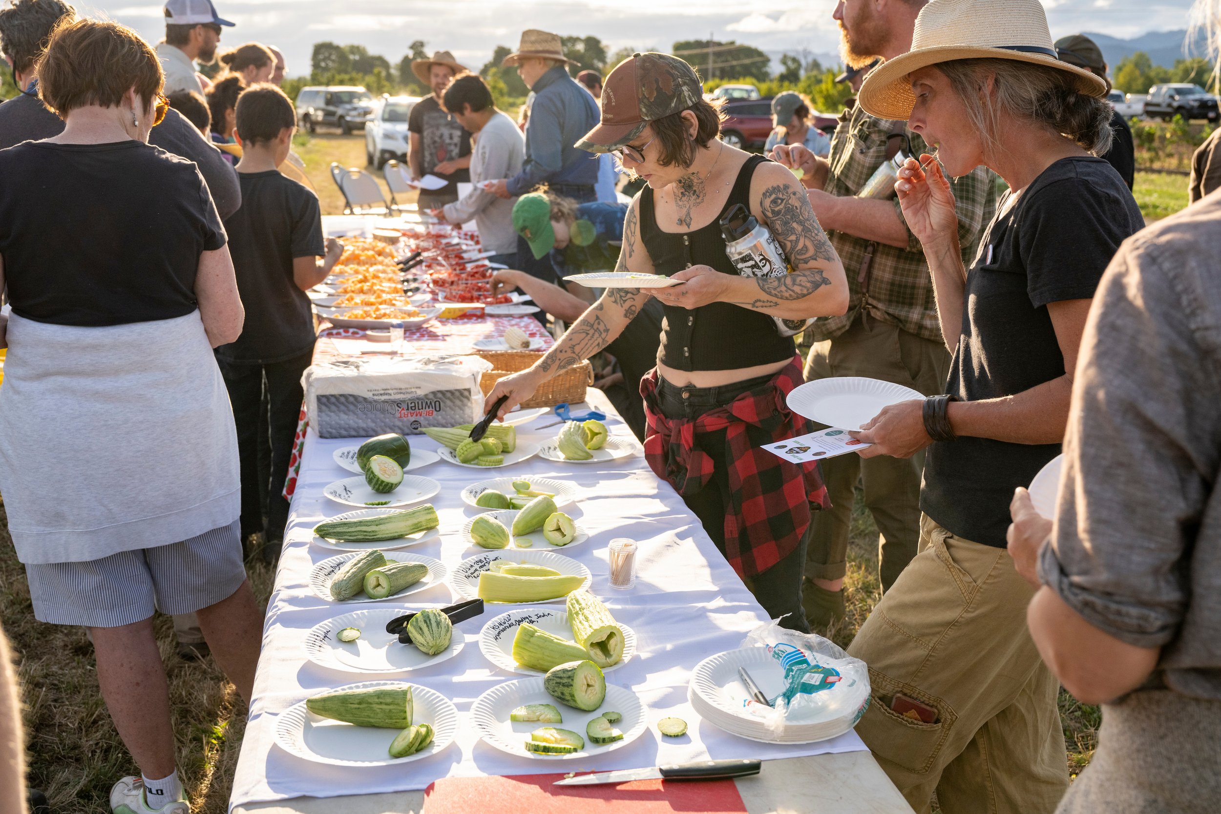 CulinaryBreedingNetwork_2024_Dry_Farming_Field_Day_1063.jpg
